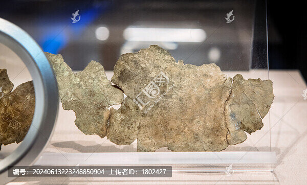 戰(zhàn)國線刻紋銅器殘片