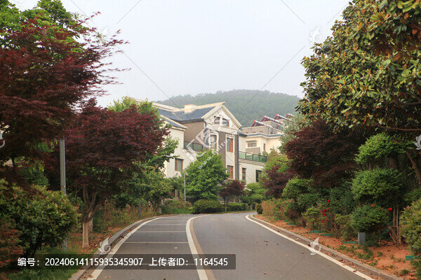 日照松月湖