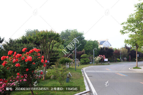 松月湖風(fēng)光