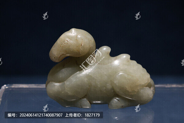 青玉駱駝