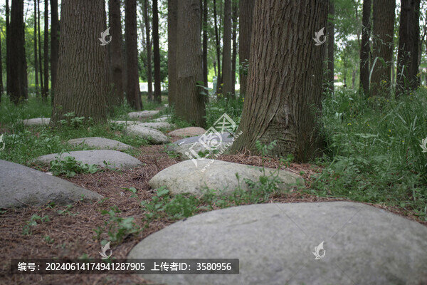 林中青石板路