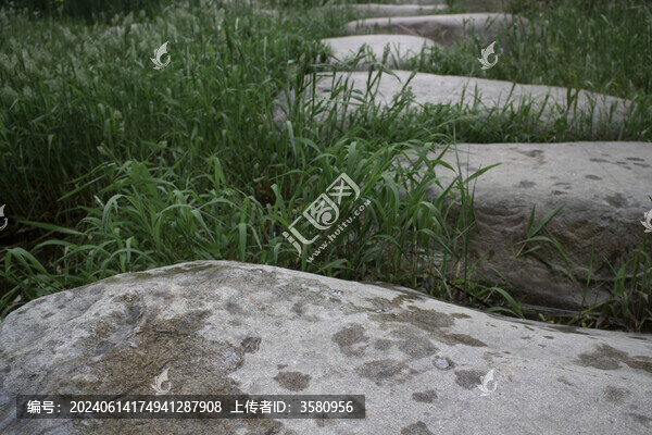 林中青石板路