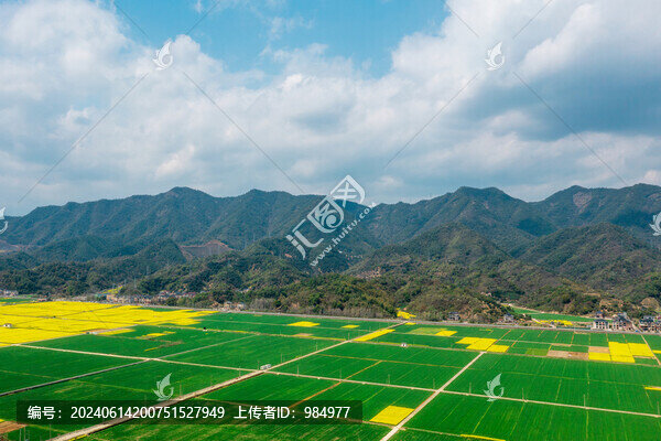 浙江杭州富陽油菜花麥田航拍風光