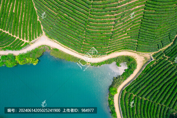 浙江杭州鄉(xiāng)村茶園航拍風(fēng)光