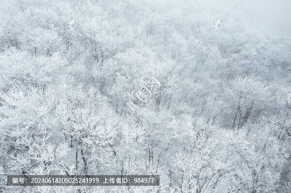 浙江杭州臨安龍王山下雪霧凇景觀