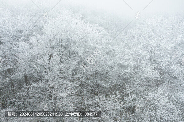 浙江杭州臨安龍王山下雪霧凇景觀