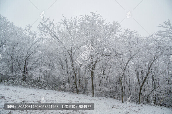 浙江杭州臨安龍王山下雪霧凇風(fēng)光