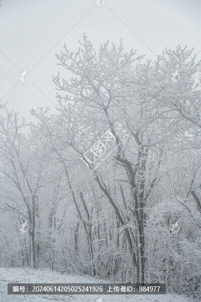 浙江杭州臨安龍王山下雪霧凇風(fēng)光