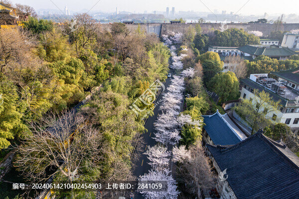 春天櫻花季中國南京解放門雞鳴寺
