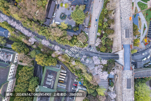 春天櫻花季中國南京解放門雞鳴寺