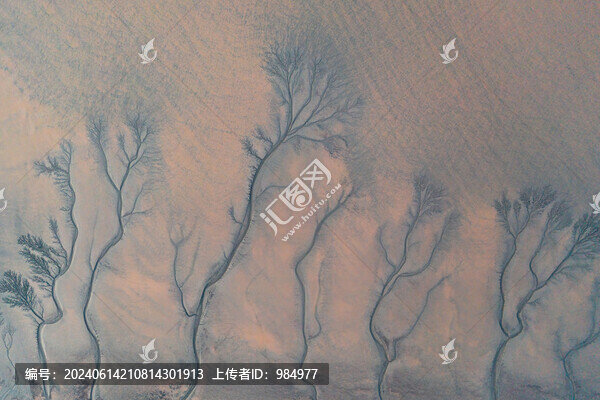 浙江嘉興錢塘江潮汐樹航拍風(fēng)光