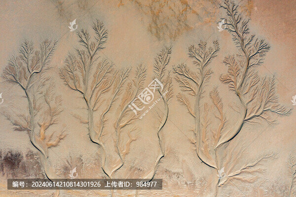 浙江嘉興錢塘江潮汐樹(shù)航拍風(fēng)光