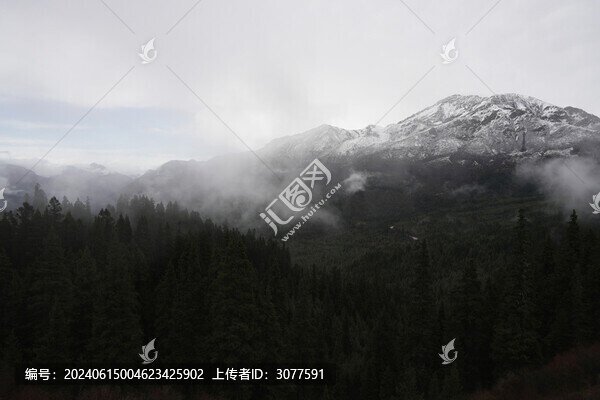 云霧森林