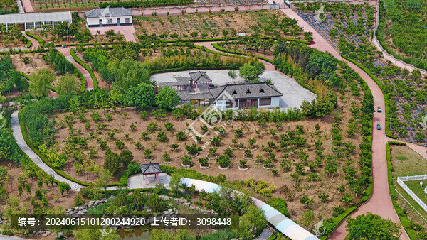嶧城石榴博覽園