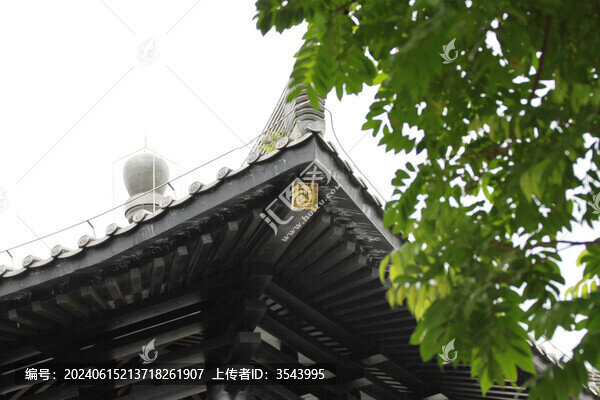 廣州文化館屋檐