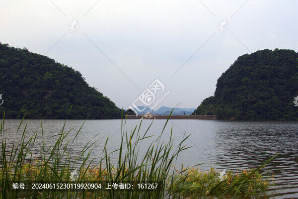 仲夏楊湖景色美