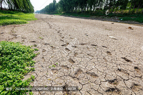 河南大旱河水斷流河底龜裂