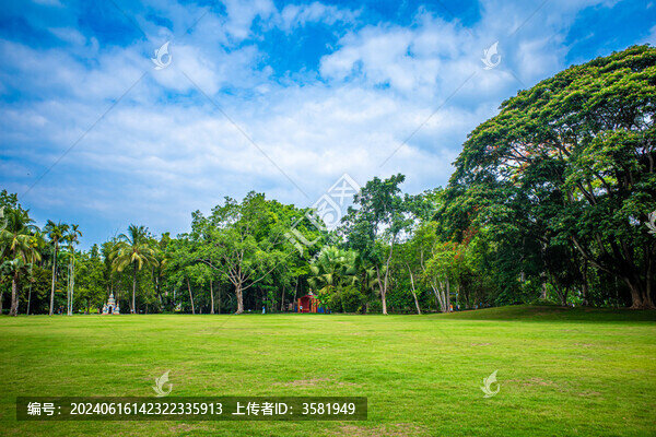 云南西雙版納中科院植物園大草坪