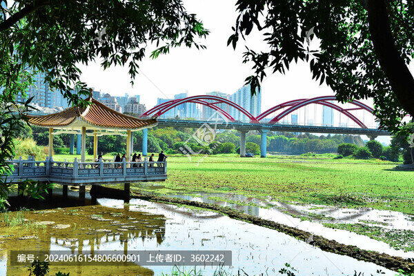 洪湖公園風(fēng)景