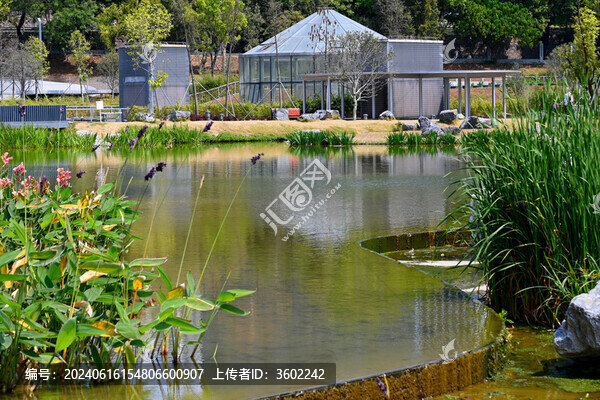 洪湖公園風(fēng)光