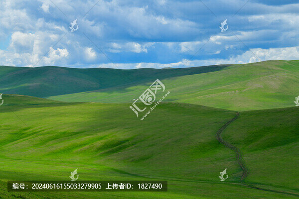 高山草原
