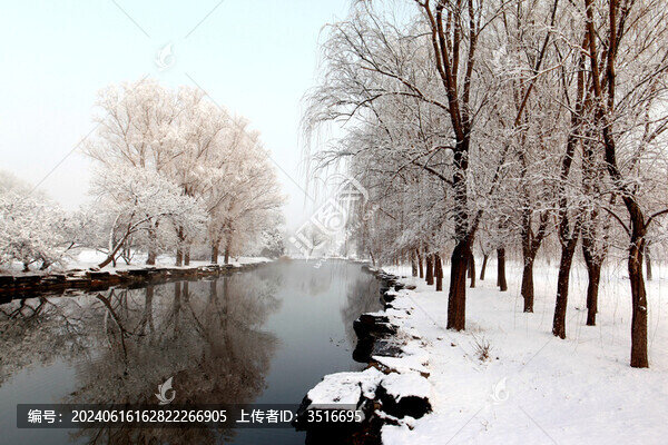 雪景