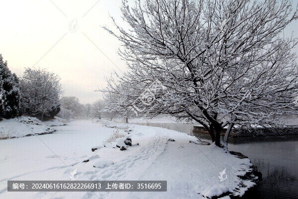 雪景