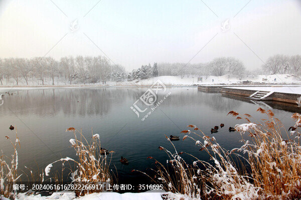 雪景