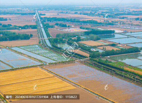 三夏時(shí)節(jié)的農(nóng)村田園風(fēng)光
