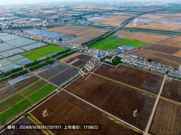 三夏時(shí)節(jié)的農(nóng)村田園風(fēng)光