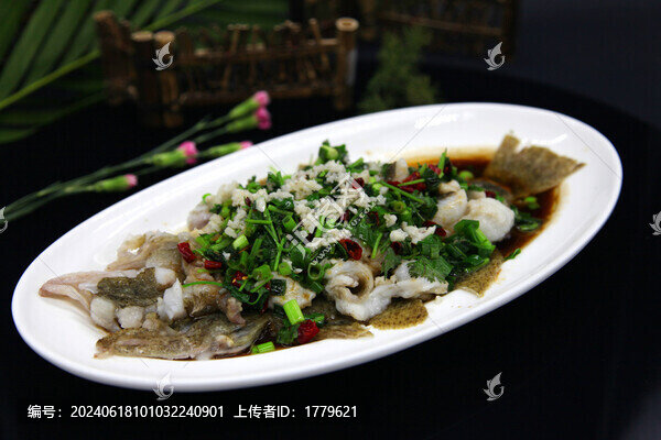 多寶魚2