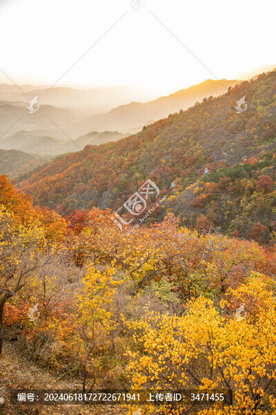 風(fēng)景畫