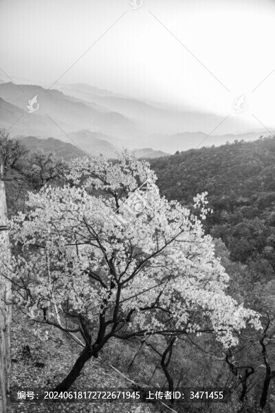 風(fēng)景畫