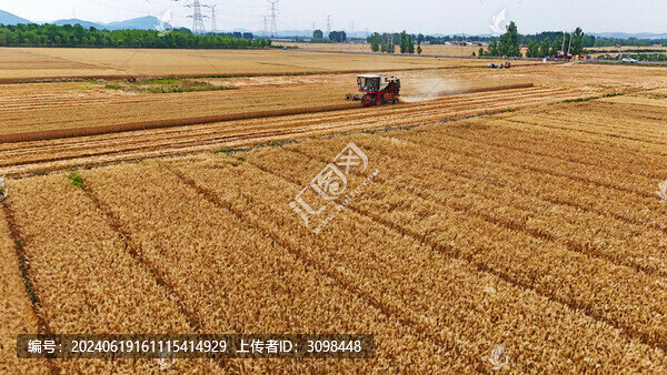 收割機(jī)收割小麥