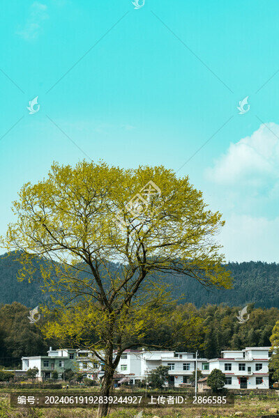 鄉(xiāng)村風(fēng)光