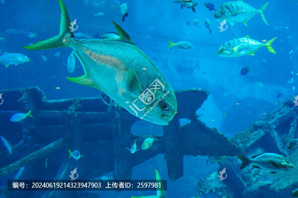 新加坡游樂場海底世界