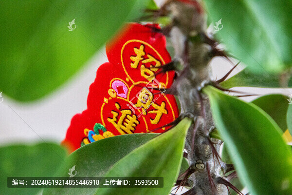 春節(jié)喜慶綠植掛件