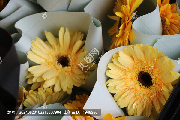 黃色菊花