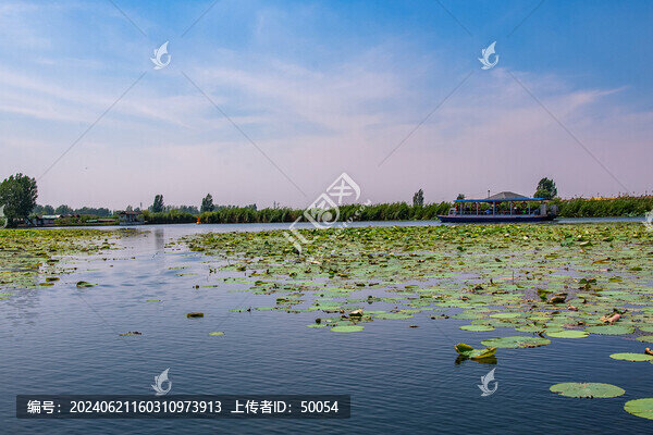 白洋淀風(fēng)光