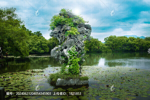 杭州西湖三潭印月九獅石