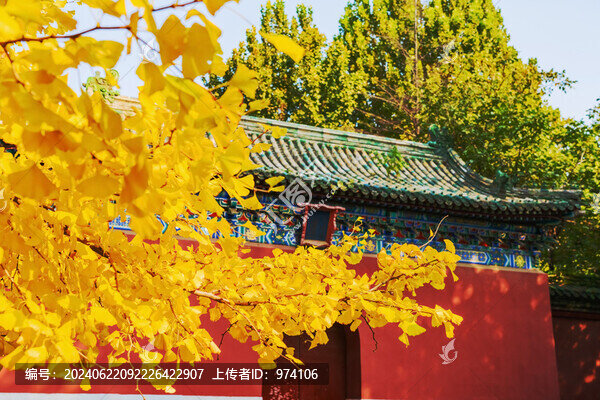 北京天壇公園古建筑和綠色植物