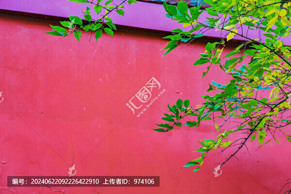 北京天壇公園古建筑和綠色植物