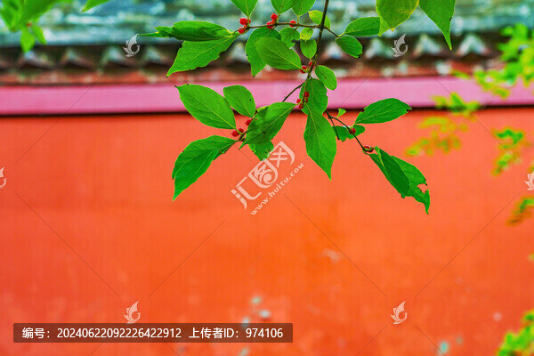 北京天壇公園古建筑和綠色植物