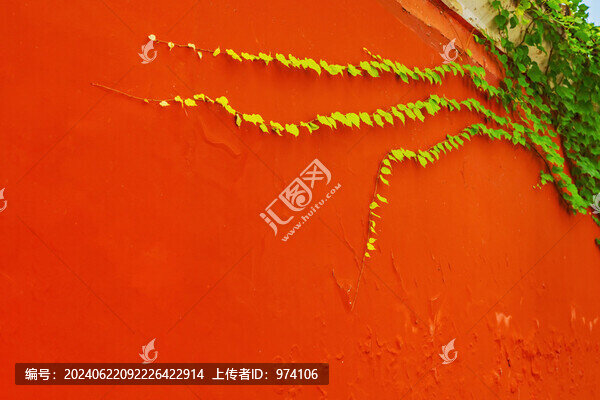 北京天壇公園古建筑和綠色植物