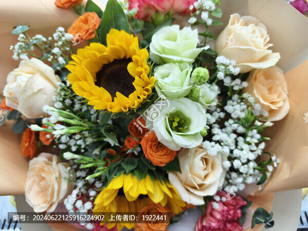 夏天向日葵花