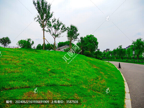 草地與樹(shù)木