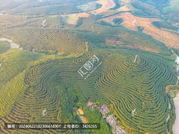 航拍山間梯田茶園田園風(fēng)光