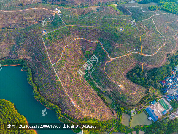 航拍山間梯田茶園田園風(fēng)光