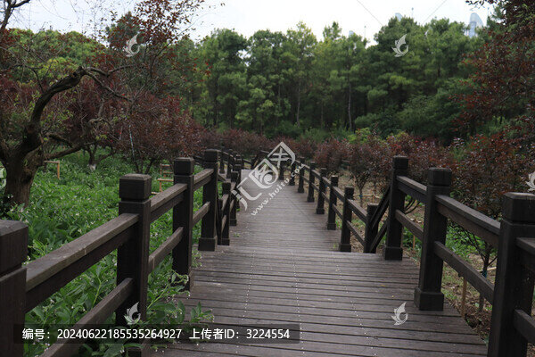 路