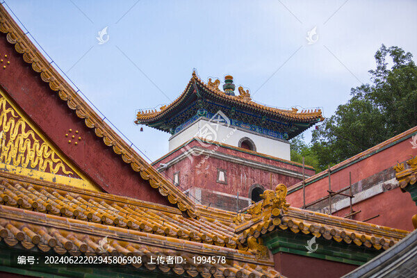 四大洲部